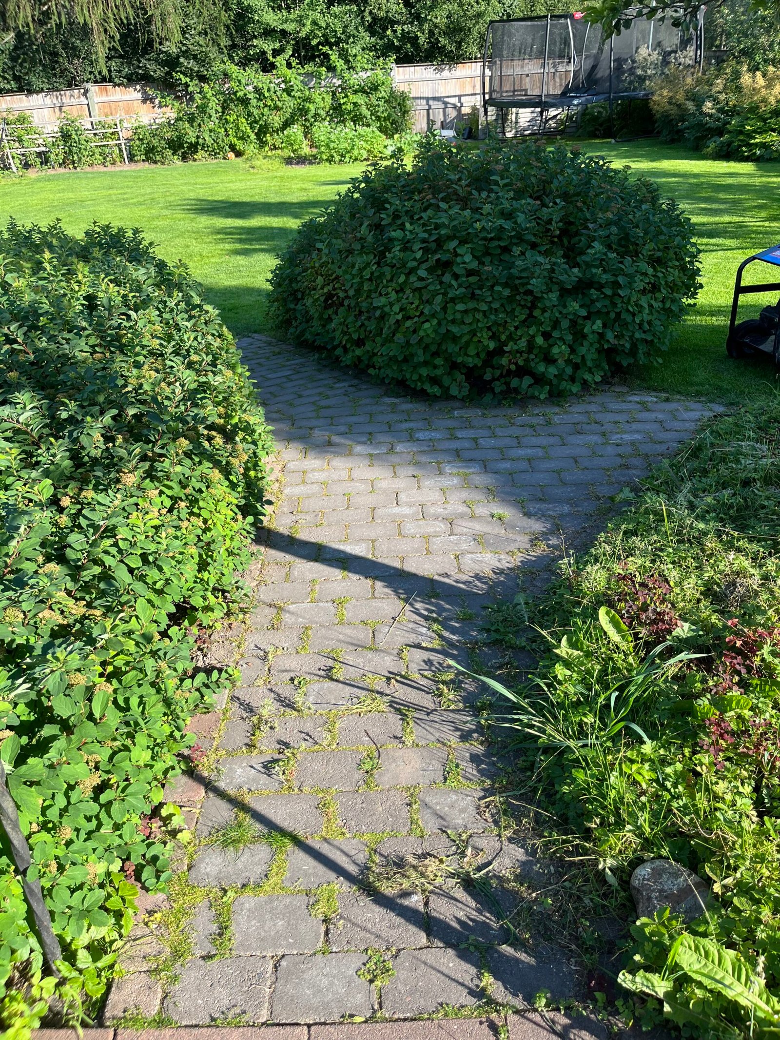 Markstens plattor innan ogräsrensning