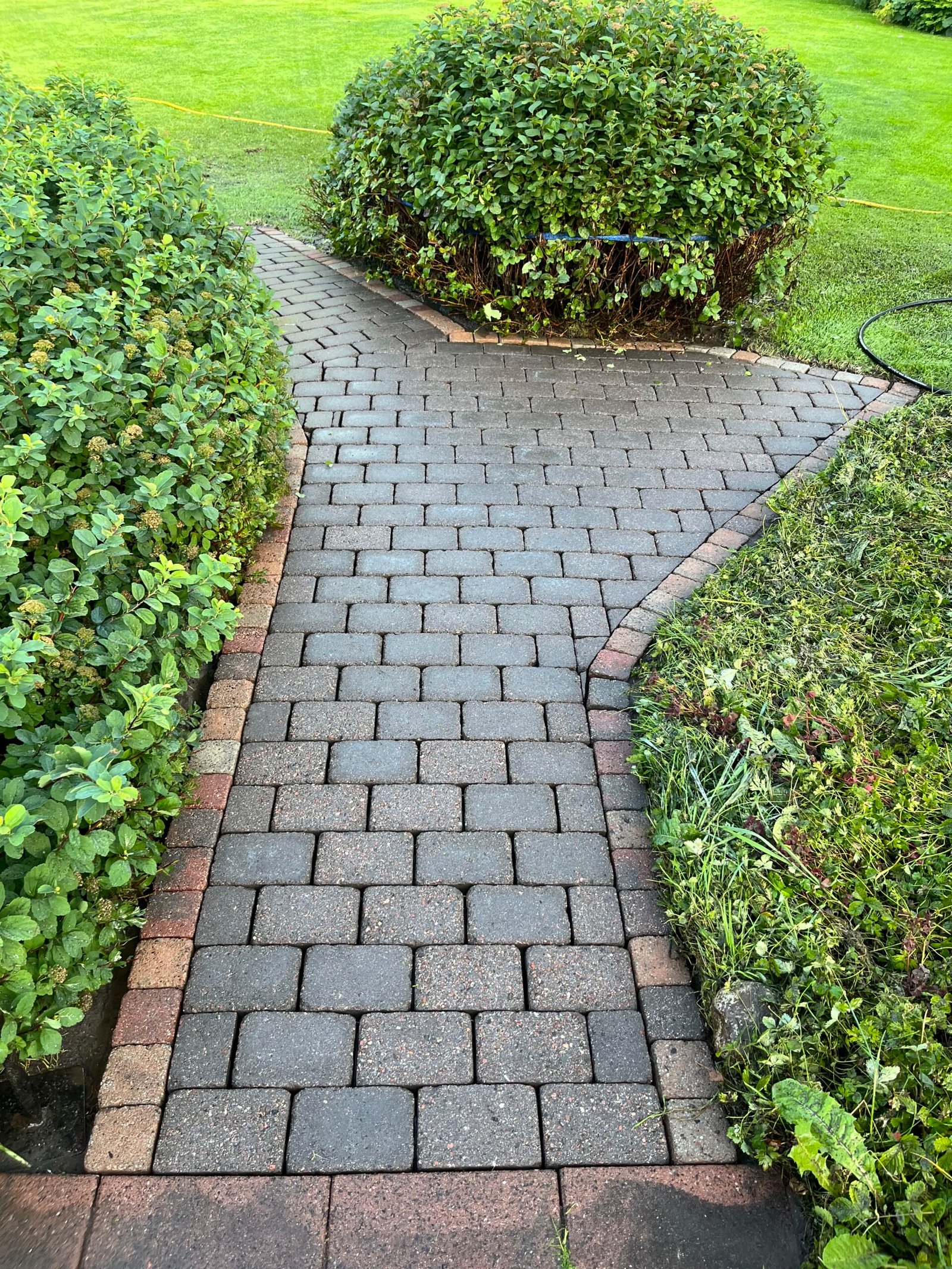 Ogräsrensade markstensplattor