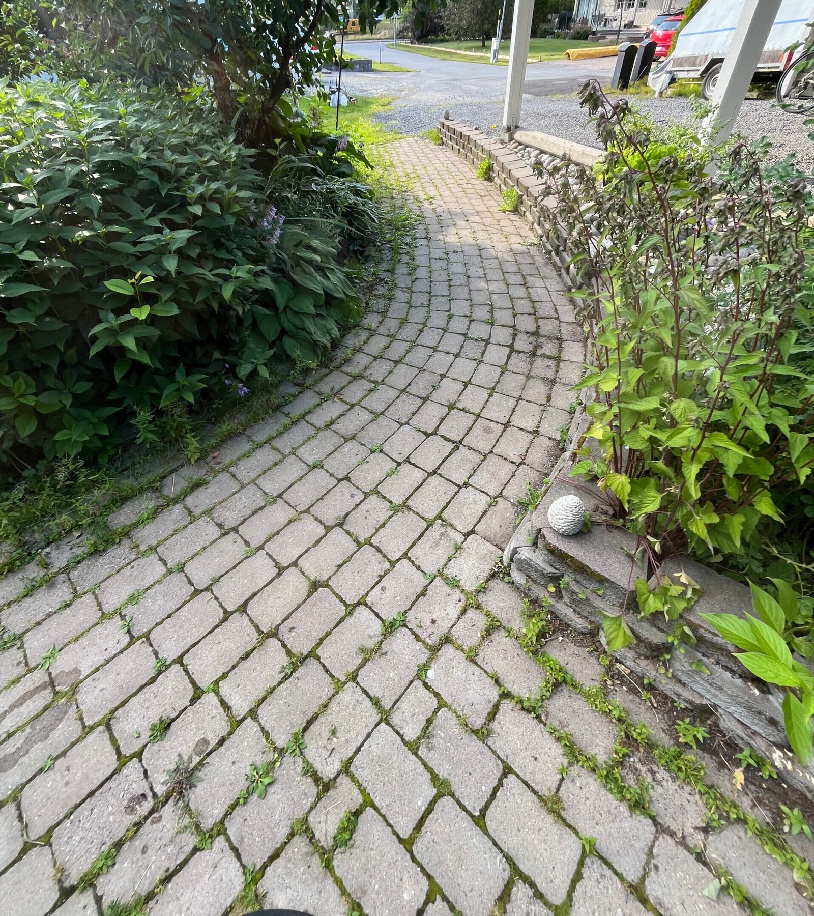 Ogräs borttagning marksten